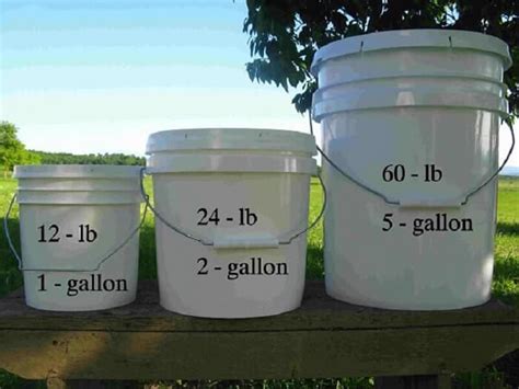 how much is 5 gallons of paint